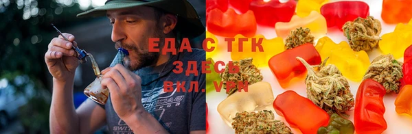 гидра Арсеньев